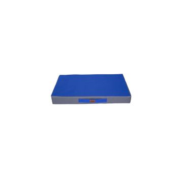 Lepus Dış Mekan Mavi L Cedar Bed