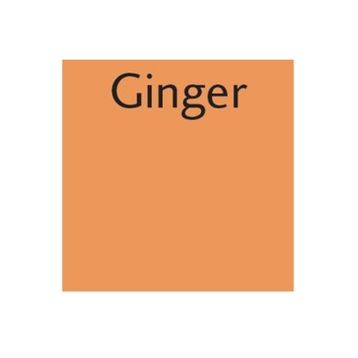Letraset O136 Promarker Ginger Çizim Kalemi