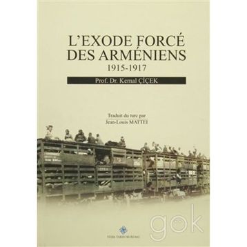 L’exode Force Des Armeniens 1915-1917 - Kemal Çiçek