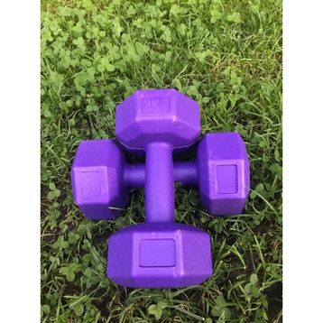 Leyaton 2 kg Vinyl Köşeli Mor Dambıl Seti