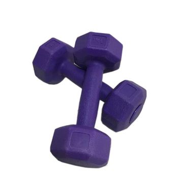 Leyaton 2x1 kg Mor Plastik Dambıl