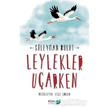 Leylekler Uçarken - Süleyman Bulut