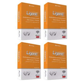 Ligone Multivitamin Multimineral Beta Glucan 4x60 Kapsül