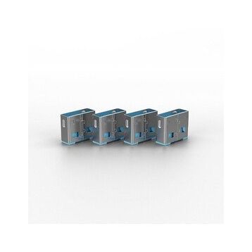 Lindy LIN-40462 10x Usb Port Kilidi
