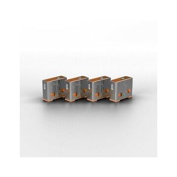 Lindy LIN-40463 10 x Usb Port Kilidi