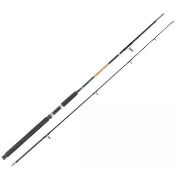 Lineaeffe Mustang 100-250 gr 2 Parça Tekne Kamışı