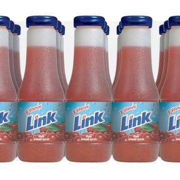 Link 200 ml Vişne Meyveli İçecek (15 adet)