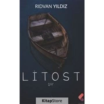 Litost - Rıdvan Yıldız