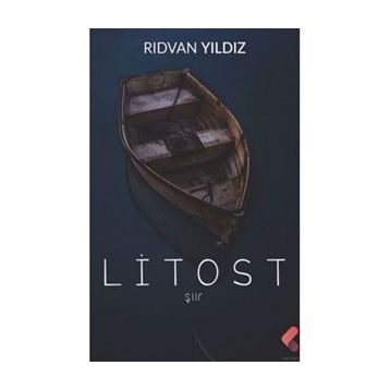 Litost - Rıdvan Yıldız