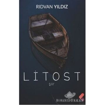 Litost - Rıdvan Yıldız