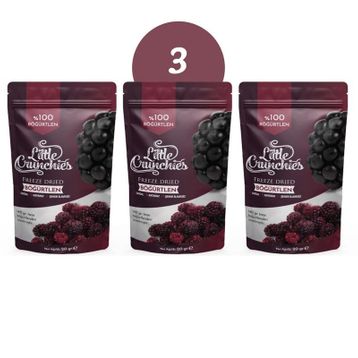 Little Crunchies 20 gr Freeze Dried Dondurularak Kurutulmuş Böğürtlen