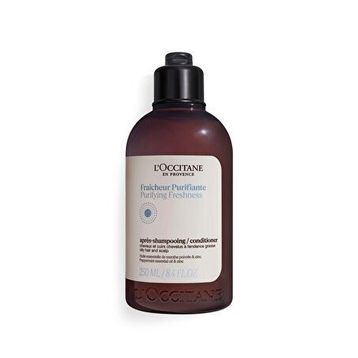 L'OCCITANE Aromakoloji Arındırıcı ve Canlandırıcı 250 ml Saç Kremi
