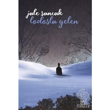 Lodosla Gelen - Jale Sancak