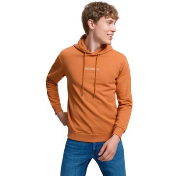 Loft LF2034259 Turuncu Erkek Sweatshirt