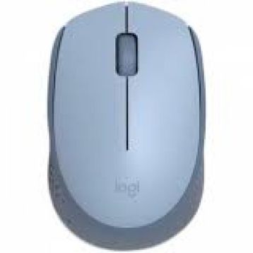 Logitech M171 Optik Kablosuz Mouse
