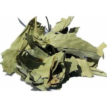 Lokman 100 gr Çınar Yaprağı