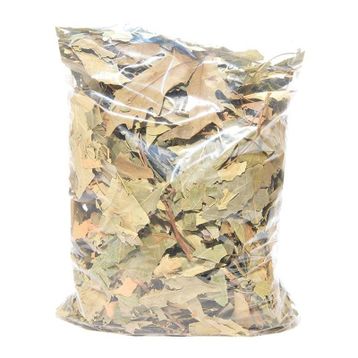 Lokman 100 gr Çınar Yaprağı