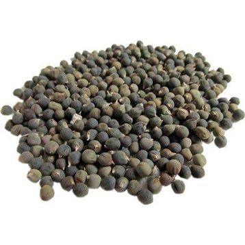 Lokman Aktar 1 kg Bamya Tohumu