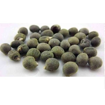 Lokman Aktar 1 kg Bamya Tohumu