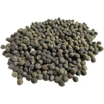 Lokman Aktar 250 gr Bamya Tohumu