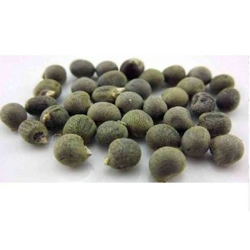 Lokman Aktar 500 gr Bamya Tohumu
