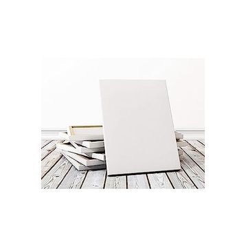 Lona Profesyonel 70x100 cm Tuval