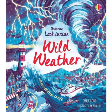 Look Inside Wild Weather-Usborne Publishing