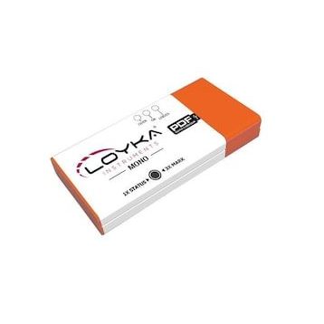 Loyka Mono Tek Kullanımlık Sıcaklık Kayıt Cihazı