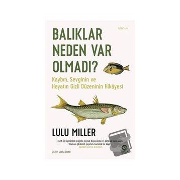 Lulu Miller Balıklar Neden Var Olmadı?