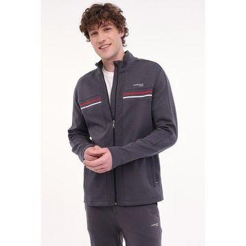 Lumberjack 18ITL411 ML ROBERT 5FX Gri Erkek Eşofman Üstü