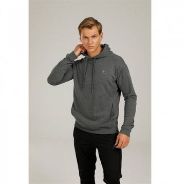 Lumberjack M-SN73 Gri Erkek Sweatshirt