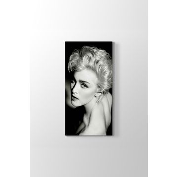 Madonna Louise Ciccone Tablosu