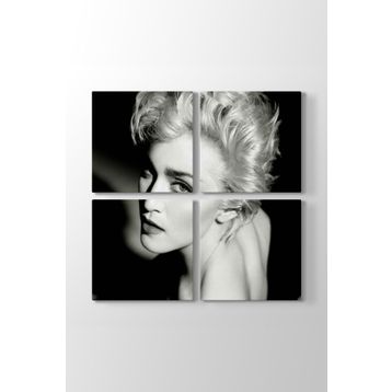 Madonna Louise Ciccone Tablosu