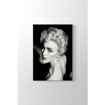 Madonna Louise Ciccone Tablosu