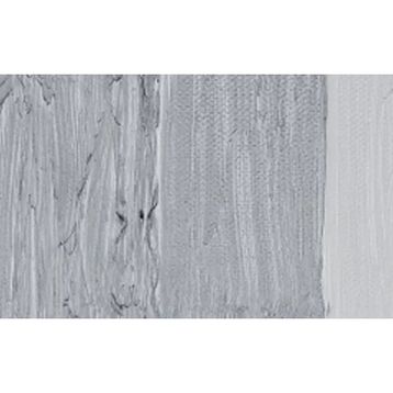Maimeri Classico 003 Silver 60 ml Yağlı Boya