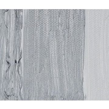 Maimeri Classico 003 Silver 60 ml Yağlı Boya
