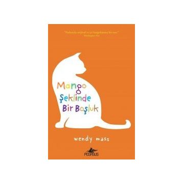 Mango Şeklinde Bir Boşluk - Wendy Mass