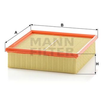 Mann C22117 Hava filtresi