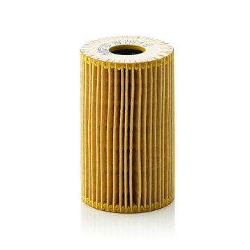 Mann Filter BMW 3 Serisi E46 3.18I 118HP 1998-2002 Benzinli Yağ Filtresi