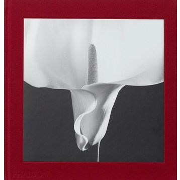 Mapplethorpe Flora : The Complete Flowers - Kolektif