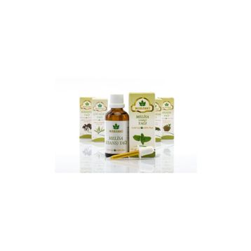 Maranki 50 ml Melisa Yağı