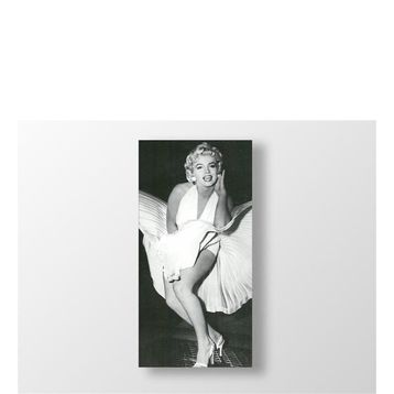 Marilyn Monroe Tablosu