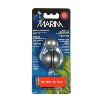Marina Mavi Fanus Işığı