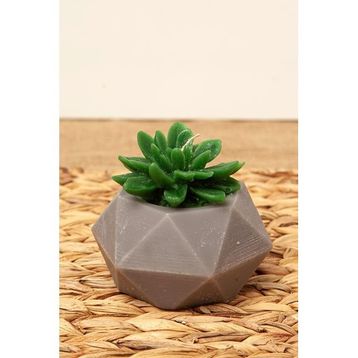 M'art Home 10 cm Sukulent Mum