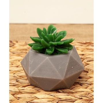 M'art Home 10 cm Sukulent Mum