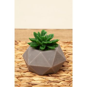 M'art Home 10 cm Sukulent Mum