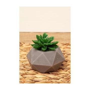 M'art Home 10 cm Sukulent Mum