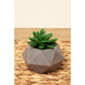 M'art Home 10 cm Sukulent Mum