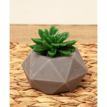 M'art Home 10 cm Sukulent Mum