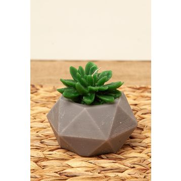 M'art Home 10 cm Sukulent Mum